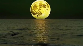 شبی بود آن شب