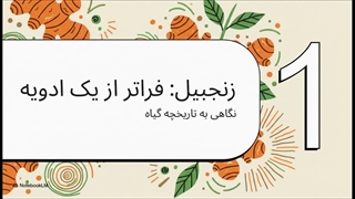 پرورش_زنجبیل__از_ریشه_تا_گل