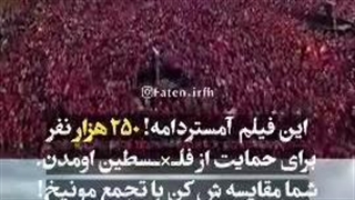 مقایسه ۲۵۰ هزار نفر مونیخ با تجمع آمستردام در حمایت از فلسطین