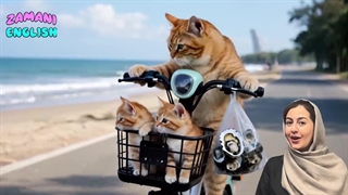 کارتون گربه های بامزه با آموزش زبان انگلیسی