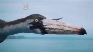 لک لک نیل، پرنده ای باستانی که فراموش کرده منقرض شود