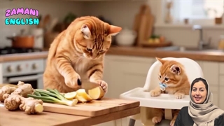 آموزش زبان انگلیسی با کارتون جذاب گربه ها