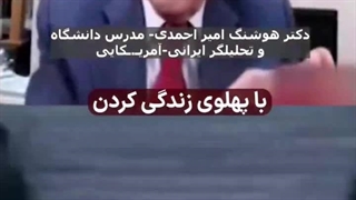 پهلوی برگرده ؟