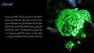 به یادبود آرتور فِرستِنبرگ