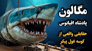 آیا مگالودون هنوز زنده است؟ حقیقت کشف شده در گودال ماریانا! 