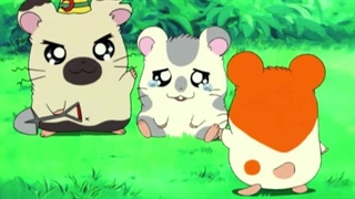 Hamtaro～01 - 03