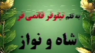دانلود رمان شاه و نواز از نیلوفر قائمی فر