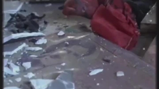 چرا واژه «وُحوش» دقیق‌ترین توصیف برای سلطنت‌طلبان است؟