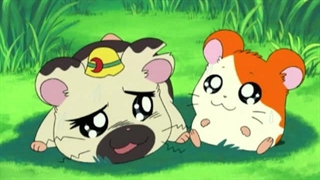 Hamtaro～01 - 08