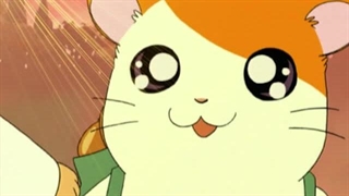 Hamtaro～01 - 15