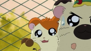 Hamtaro～01 - 18