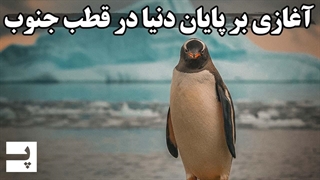 نگرانی دانشمندان از آب شدن قطب جنوب و نابودی زمین