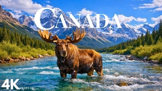 زیبایی‌های بکر کانادا با کیفیت 4K: طبیعت بکر و حیات وحش باورنکردنی