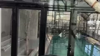 استخر چهار فصل در رشت