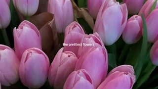 امیدوارم حال تک تکتون خوب باشه:') حسابی مواظب خودتون باشین :')