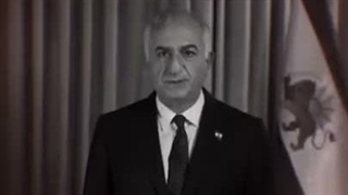 کمک؟؟؟؟ آزادی؟؟؟ احمقین یا خودتونو زدین به احمقی؟