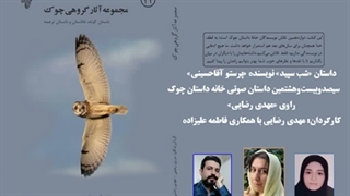 داستان «شب سپید» نویسنده «پرستو آقاحسینی»