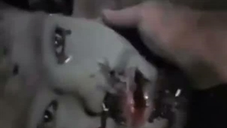 هم وطنان عزیزم کمکی که رئیس جمهور آمریکا قول داده بود رسید.ست