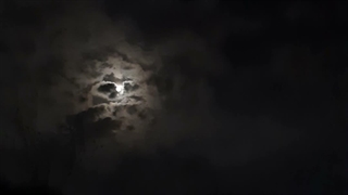 شب پنجم جنگ