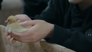 سریال تایلندی مدرسه خانگی(Home school 2023) با زیرنویس فارسی(درخواستی)