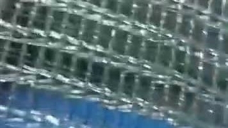 فروش توری ضدپرنده برای باغات ۰۹۱۱۹۰۹۳۹۲۳