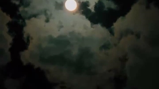 شاید جایی که فکر میکنی همه چیز تموم شده، یه شروع باشه❤️