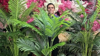 درختچه های نخل مصنوعی اریکا