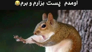 چهارشنبه سوریتون مبارک... گیلیلیلیلی⁦>⁠.⁠<⁩