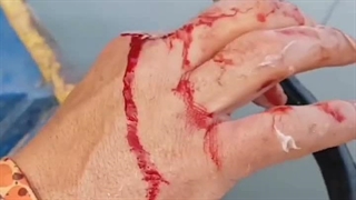 ماهی پایارا /خونخوار/کپ