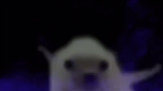 سال نو مبارک ⁦〜⁠(⁠꒪⁠꒳⁠꒪⁠)⁠〜⁩ + کامنت