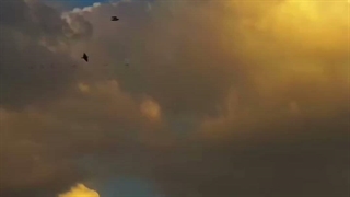 سبک زندگیمه.....