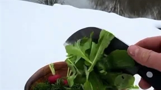آشپزی در طبیعت.. برای حس و حال بهتر...