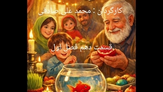 ماهی قرمز و آخرین دانه انار قسمت دهم فصل اول : گفت‌وگوی بی‌صدا