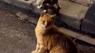 هعیی.....