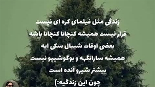 اصل زندگی