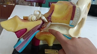 تست زنی  رمزگردانی مشاوره کنکور استاد غیاثی 09149285452