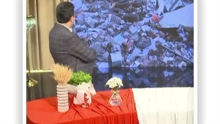 همه شاخ و برگ یه سرویم، سرو آزاد✨️ کپشن