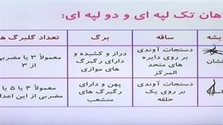 زیست یازدهم فصل 8 گفتار 2