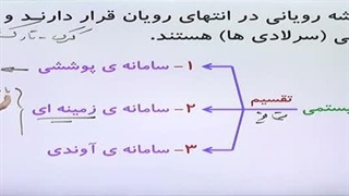 زیست یازدهم فصل 8 گفتار 3