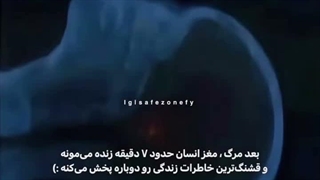 کپ لطفا