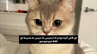 ای کاش...