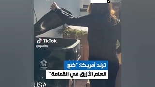 موش در آشغال دانی