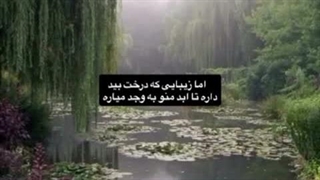 چه درختی دوست دارید؟