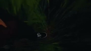 ｡⁠◕⁠‿⁠◕⁠｡⁩