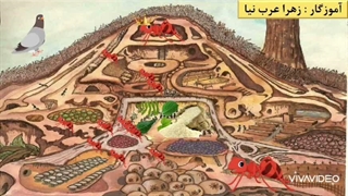 مطالعات اجتماعی چهارم ابتدایی