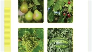محتوای آموزشی: دنیای گیاهان (قسمت دوم) علوم تجربی پایۀ اول ابتدایی جلد2 | کم توان ذهنی
