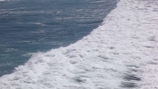 the way of water