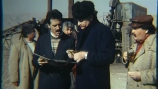 فیلم سینمایی گاومیش ها