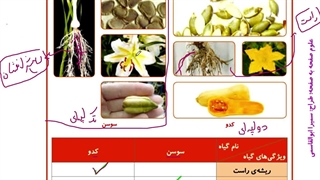 تقسیم بندی گیاهان