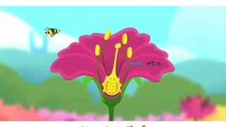 علوم تجربی چهارم ابتدایی